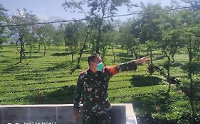 Rr Homestay Seroja